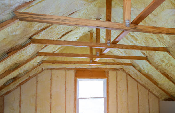 Best Specialized Insulation Services in Superior, AZ