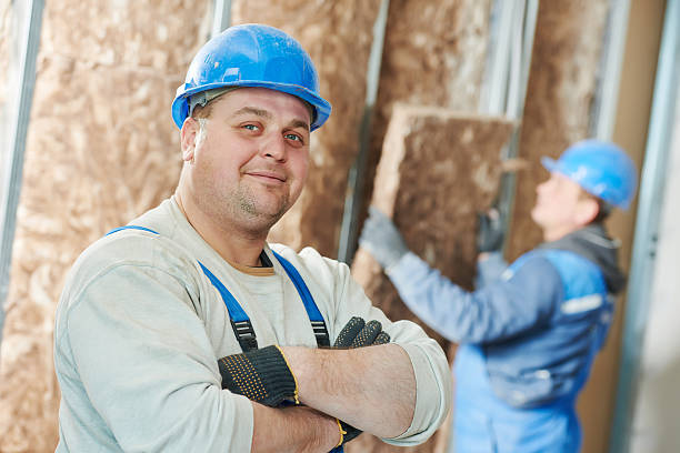 Best Geographic-Specific Insulation Services in Superior, AZ